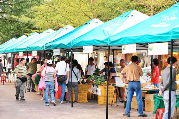 Organic Farmer's Market Rigorous Sampling and Psychological Testing is the Key