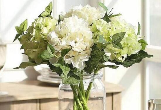 How to raise hydrangea in a vase, choose the vase to control the water level / remember not to be blown by the wind