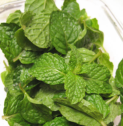 Culture methods and matters needing attention of Peppermint