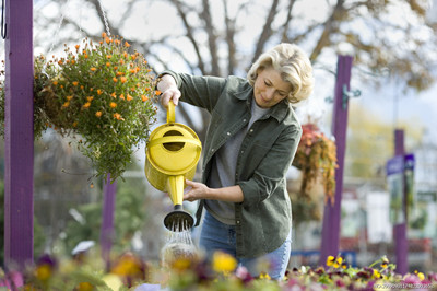 A few tricks for watering flowers in a family