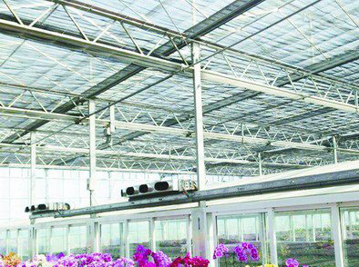 Design of Cold Room for Phalaenopsis flowering