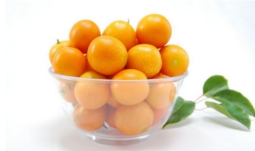 Can kumquat seeds be eaten? how to grow small potted plants?