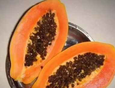 How long is the flowering time of potted papaya?