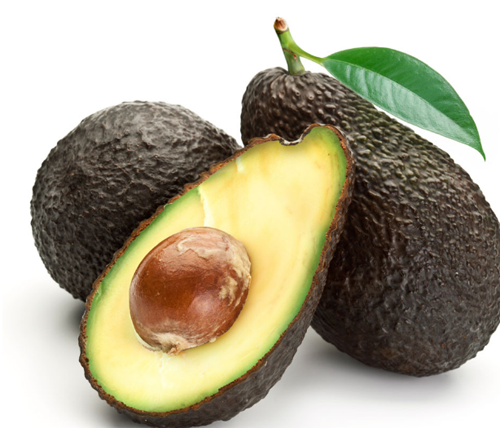 Planting methods of avocado how to grow seeds by hydroponic culture