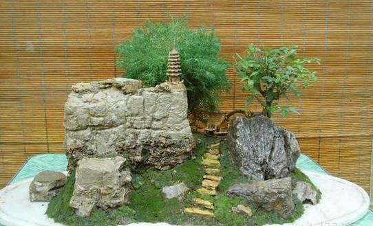 Matters needing attention in miniature bonsai cultivation