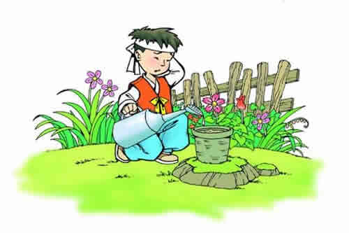 Key points of maintenance of potted flowers in different periods