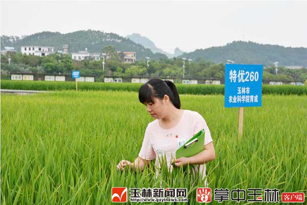 Chen Haifeng: for the bumper harvest of the earth and for the farmers to get rid of poverty