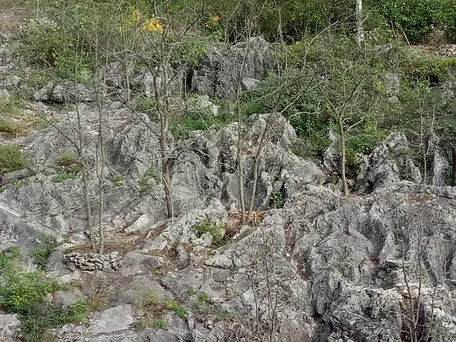 Yinjiang: the barren slope and terraced soil grows 