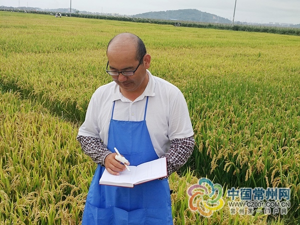 Zhu Banghui: Rice breeding for 17 years, fruitful results