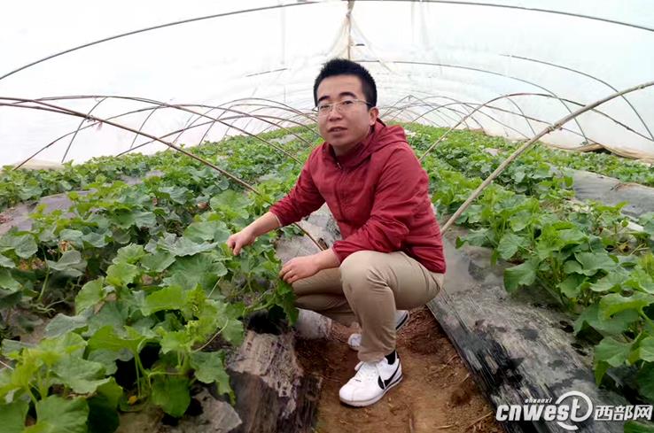 From melon and fruit online sales to brand building, the new farmer he Feijie's e-commerce upgrade.