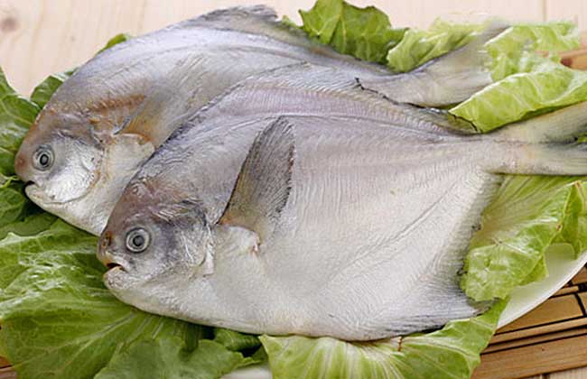 How much is the white Pomfret?