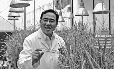 Chen Jianping: treat the crops and let the wheat waves smell.