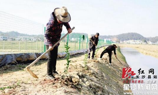 Changsha County, Hunan Province: farmland plays a new pattern of 