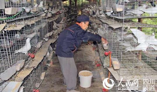 Feng Xiangquan, a poor household, released the 