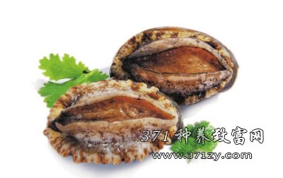 Why the price of abalone skyrocketed to explore the reason for the massive reduction of abalone production in Laoshan Mountain