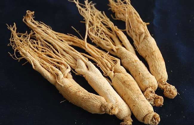 Market price of American ginseng