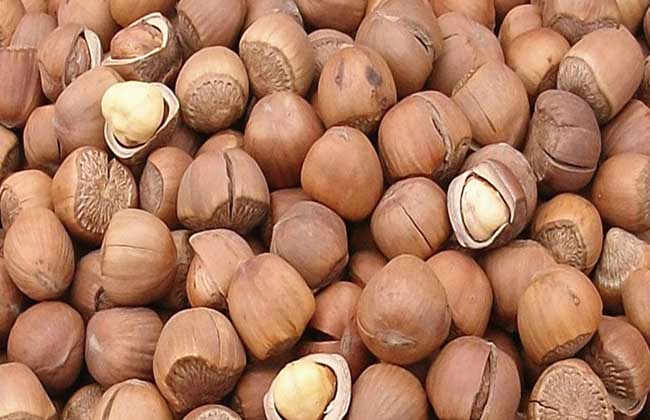 The market price of hazelnut