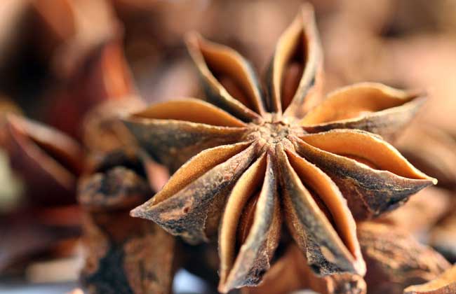 The market price of star anise