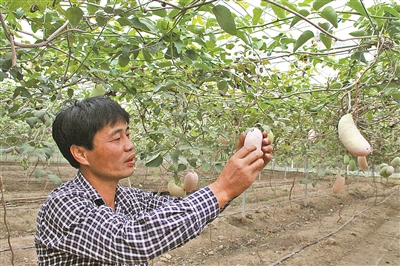 Wang Guizhang: science and Technology leads the way to Wealth