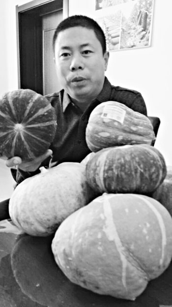 Heilongjiang pumpkins are very popular on Taiwan Island.