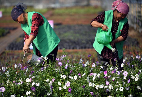 ** Yili: Flowers bloom outside the Great Wall and rich farmhouses