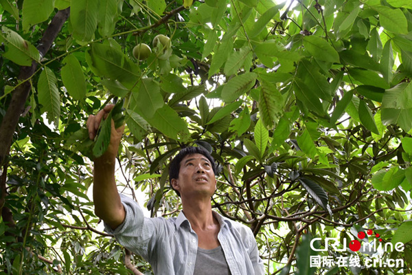 Zhou Shenggui in Pingshan County: searching for Dream Flower and Fruit Mountain in his whole life