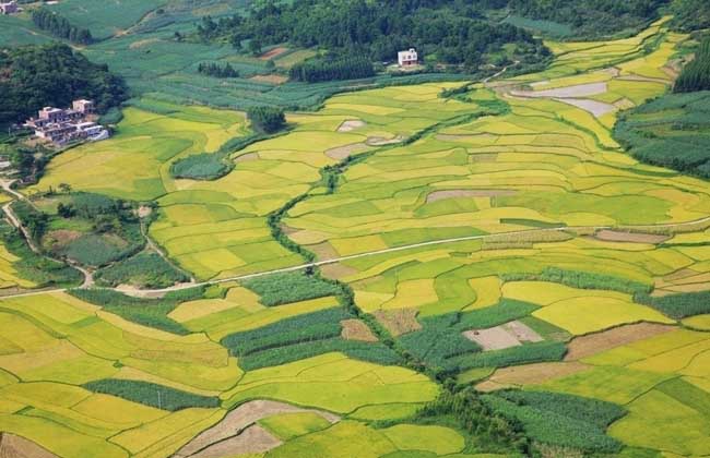 The Future Development trend of Agriculture in China