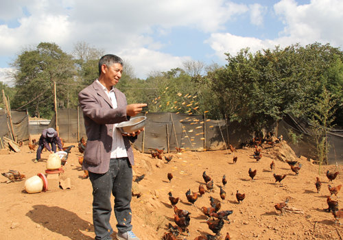 Zhang Pengsuo: characteristic farming leads villagers to increase their income and become rich