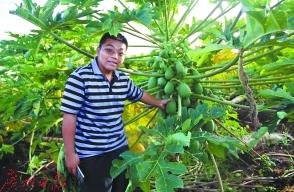 Post-80s boys manage farmland with mobile phones.