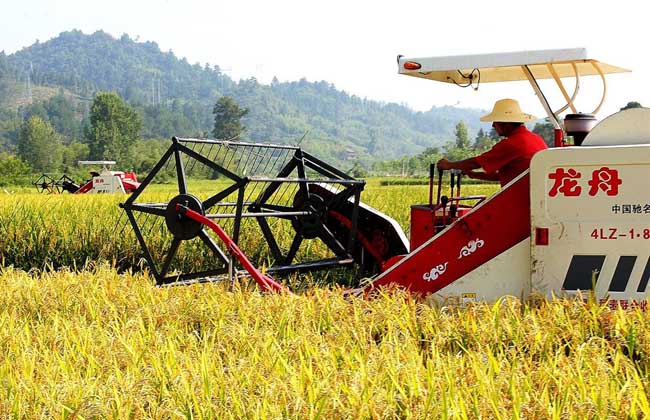 Application process of Agricultural Machinery purchase subsidy in 2016