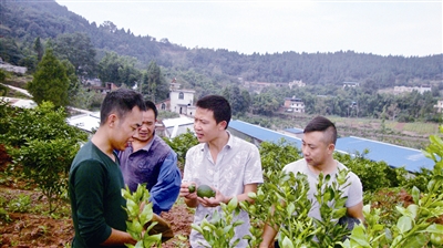 Disabled boys return to their hometown to start a business and lead the villagers to shake off poverty and become rich