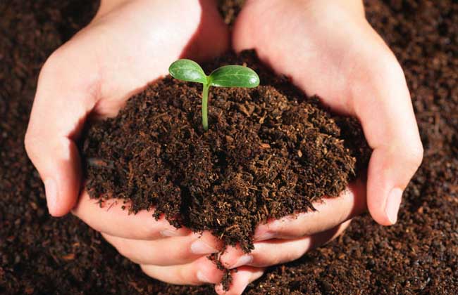 Classification and prevention of soil pollution