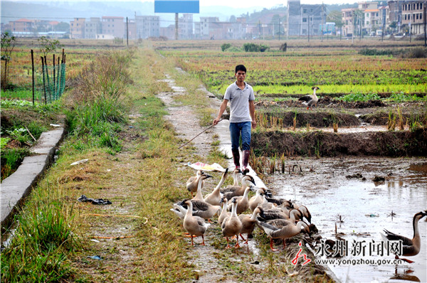 Li Feng: the 