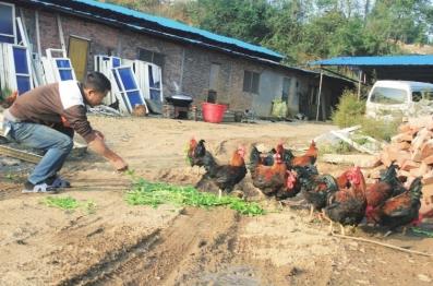 College students in Shaoyang County, Hunan raise 