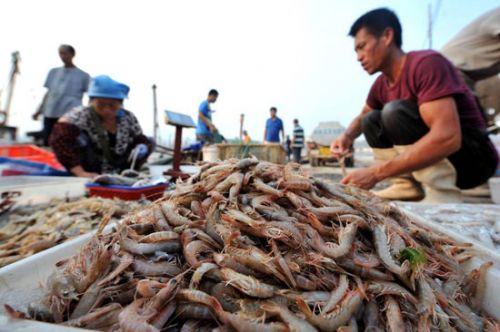 Wild prawns are popular and sell for 8 yuan each in Qingdao.