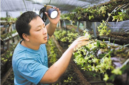 College students return to their hometown to start a business and adhere to the ecological planting method.