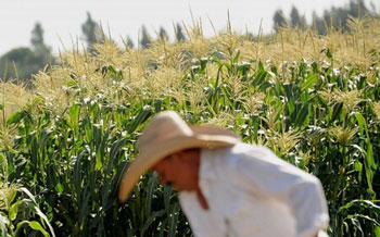 108 Nobel laureates support genetically modified crops