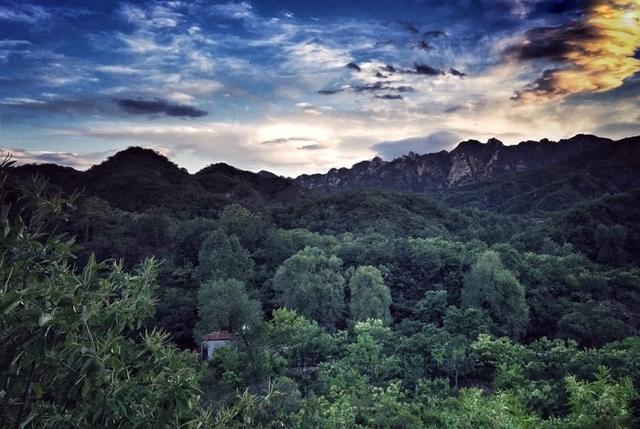 Four old boys rented 2500 mu of mountain woodland and lived in seclusion in the valley.