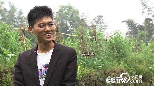 Mou Jianhua: he makes money from baby fish and secrets in the mountains.