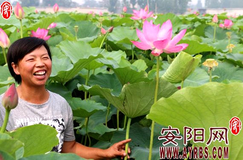 The lotus pond has become their treasure pot. Lotus root, duck and Loach earn hundreds of thousands of dollars a year.