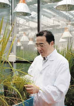 Chen Jianping plant virus meets nemesis in micro world