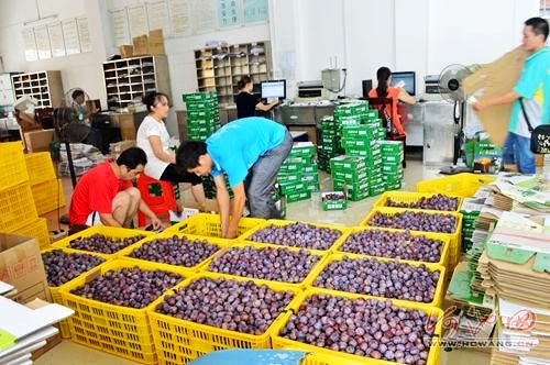 Guangxi Tiane: a plum stirs up an industry