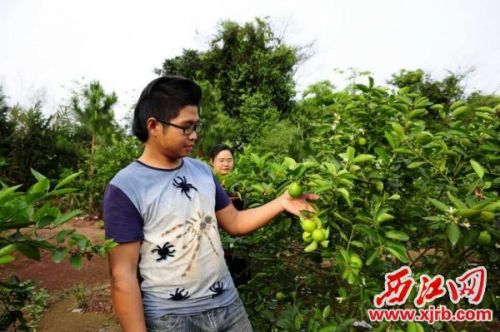 The Lemon Dream by Liu Xue, a young man from Sichuan