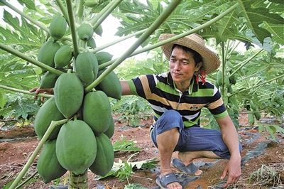 Xingbin District, Laibin, Guangxi