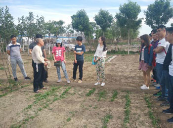 The farmer taught the Nankai students to grow vegetables and opened their horizons.