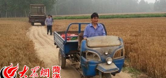 Farmer singer Zhu Zhiwen's wheat is ripe again! How's the harvest this year? Isn't it very gratifying?