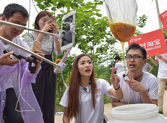 Live broadcast on mobile phone to catch chicken and honey Taobao anchor plays to the place of origin.