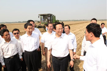 Changing the way of summer grain to meet the disaster of bumper harvest and more autumn grain is the big head.