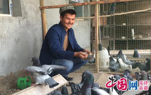 Little pigeons release their big dreams of getting rich and never forget to 