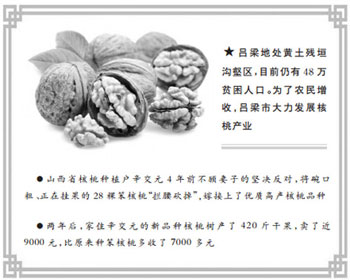 Cut down 28 stupid walnuts and earn an extra 7000 yuan without hard work.